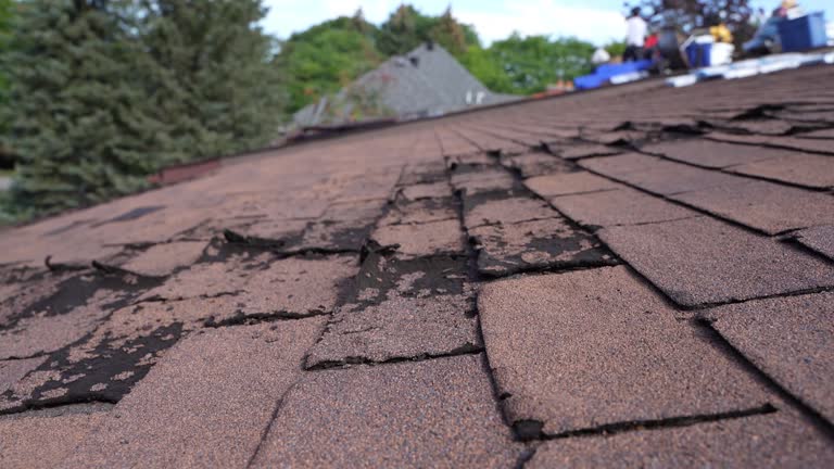 Best Roof Installation  in Landrum, SC