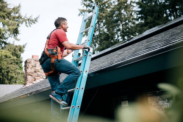 Best Roof Moss and Algae Removal  in Landrum, SC